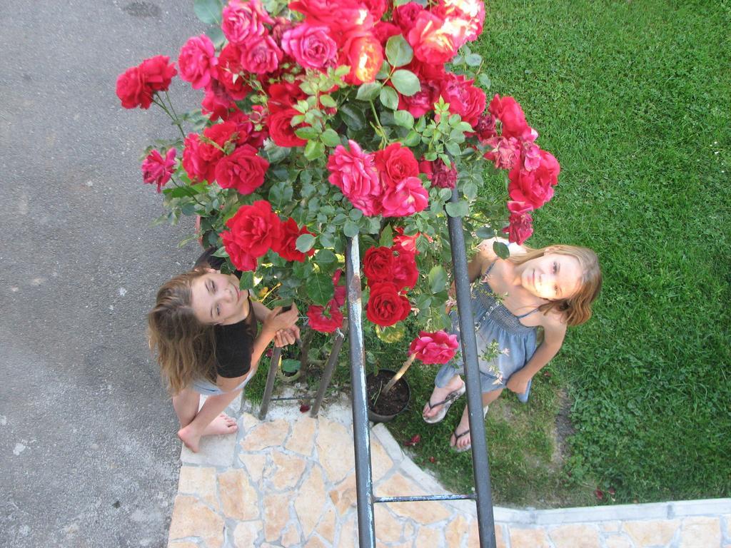 רקוביצה Apartment Ilija חדר תמונה