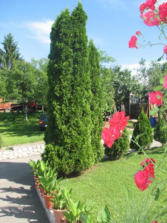 רקוביצה Apartment Ilija חדר תמונה