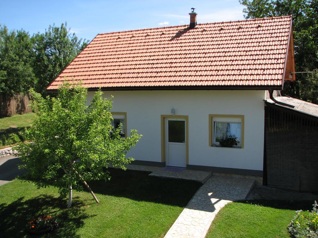 רקוביצה Apartment Ilija מראה חיצוני תמונה